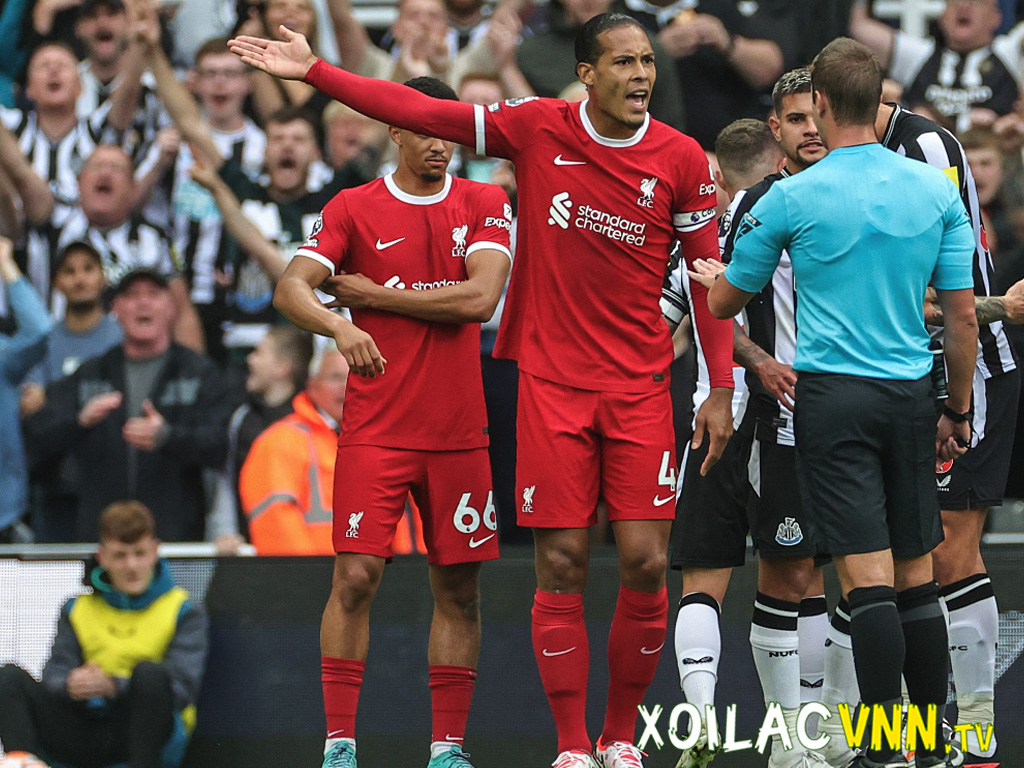 van-dijk-nhan-the-do
